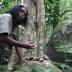 Dreamtime Walk_Mossman Gorge